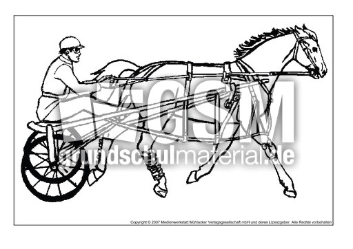 Pferd-6.pdf